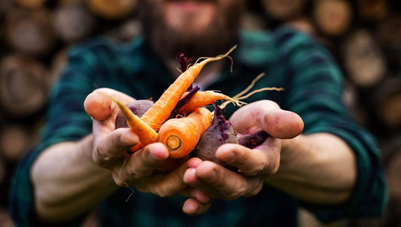 Les légumes passent à table